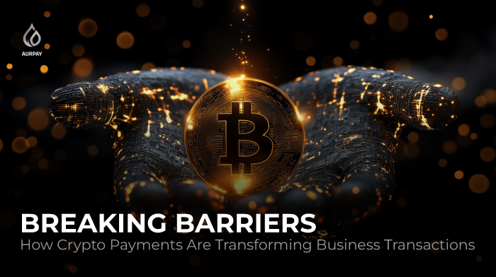 Breaking Barriers: How Crypto Payments Are Transforming Business Transactions